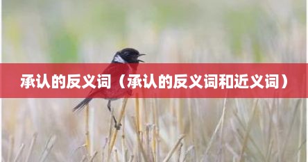 承认的反义词（承认的反义词和近义词）