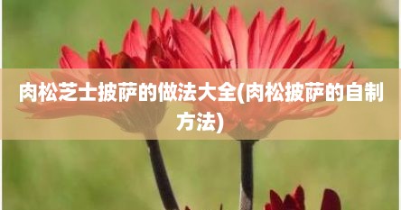肉松芝士披萨的做法大全(肉松披萨的自制方法)