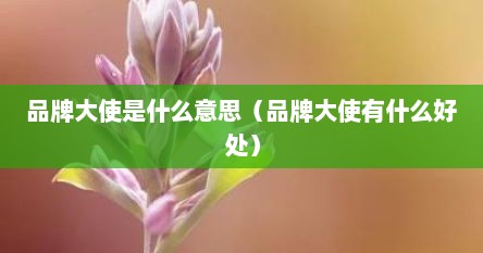 品牌大使是什么意思（品牌大使有什么好处）