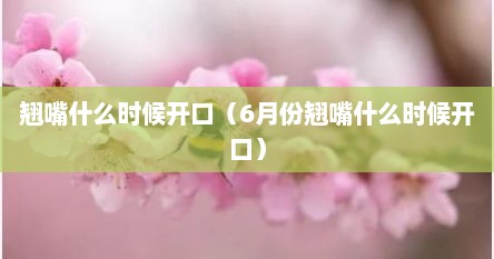 翘嘴什么时候开口（6月份翘嘴什么时候开口）