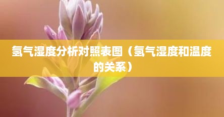 氢气湿度分析对照表图（氢气湿度和温度的关系）