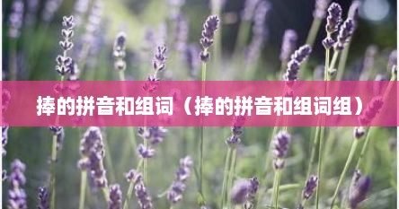 捧的拼音和组词（捧的拼音和组词组）