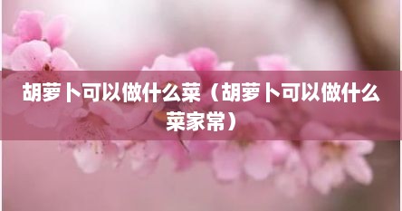 胡萝卜可以做什么菜（胡萝卜可以做什么菜家常）