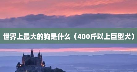 世界上最大的狗是什么（400斤以上巨型犬）
