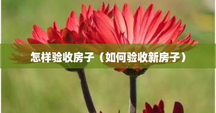 怎样验收房子（如何验收新房子）