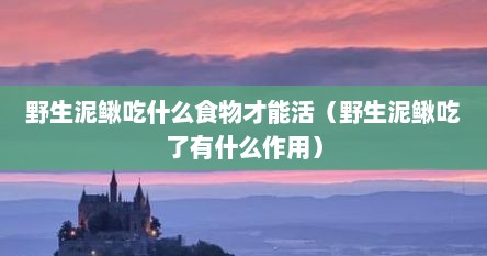 野生泥鳅吃什么食物才能活（野生泥鳅吃了有什么作用）