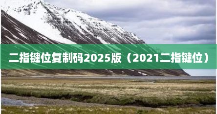 二指键位复制码2025版（2021二指键位）