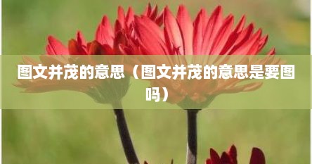 图文并茂的意思（图文并茂的意思是要图吗）