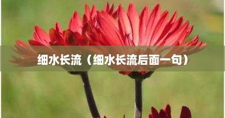 细水长流（细水长流后面一句）