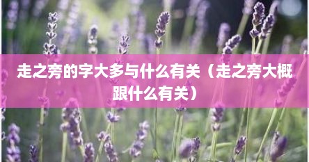 走之旁的字大多与什么有关（走之旁大概跟什么有关）