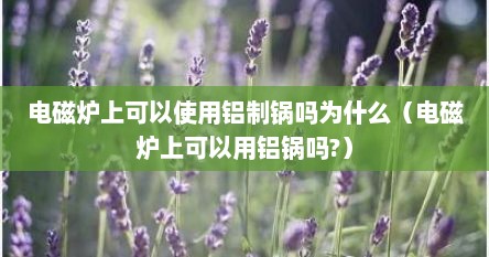 电磁炉上可以使用铝制锅吗为什么（电磁炉上可以用铝锅吗?）