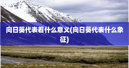 向日葵代表着什么意义(向日葵代表什么象征)