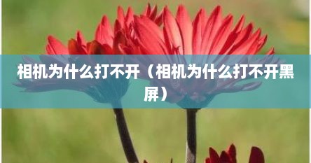 相机为什么打不开（相机为什么打不开黑屏）