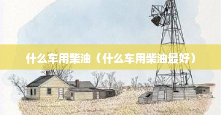 什么车用柴油（什么车用柴油最好）
