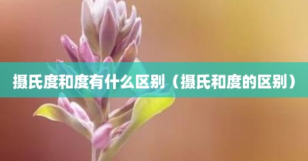 摄氏度和度有什么区别（摄氏和度的区别）