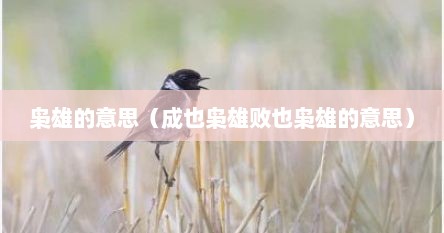 枭雄的意思（成也枭雄败也枭雄的意思）