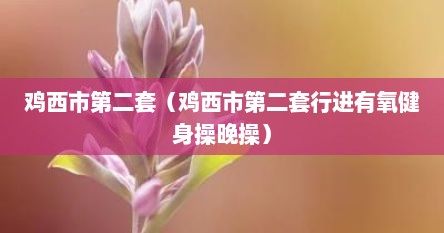 鸡西市第二套（鸡西市第二套行进有氧健身操晚操）