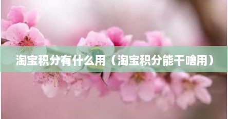 淘宝积分有什么用（淘宝积分能干啥用）