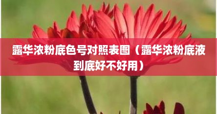 露华浓粉底色号对照表图（露华浓粉底液到底好不好用）