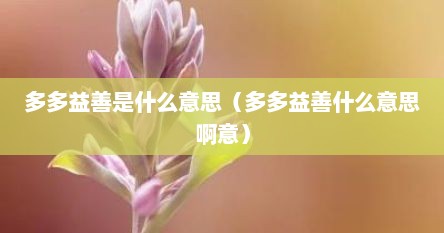 多多益善是什么意思（多多益善什么意思啊意）