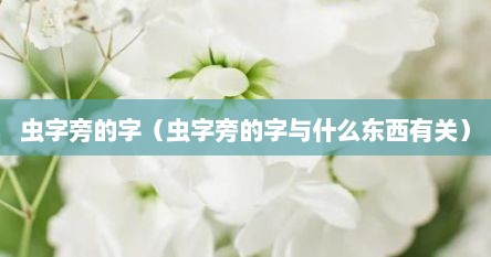 虫字旁的字（虫字旁的字与什么东西有关）