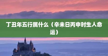 丁丑日五行属什么五行缺什么（丁丑日五行属土还是火）