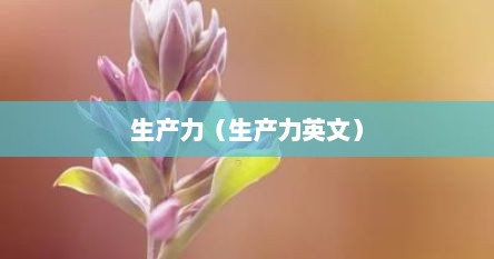 生产力（生产力英文）