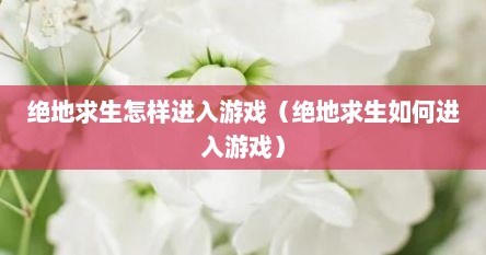 绝地求生怎样进入游戏（绝地求生如何进入游戏）