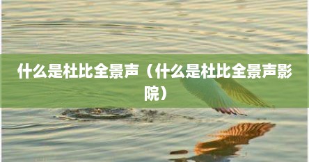 什么是杜比全景声（什么是杜比全景声影院）