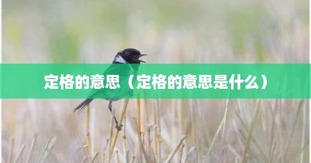 定格的意思（定格的意思是什么）