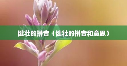 健壮的拼音（健壮的拼音和意思）
