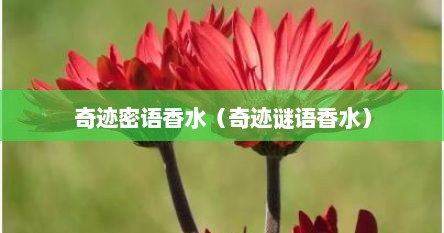 奇迹密语香水（奇迹谜语香水）