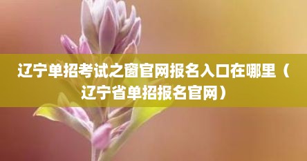 辽宁单招考试之窗官网报名入口在哪里（辽宁省单招报名官网）