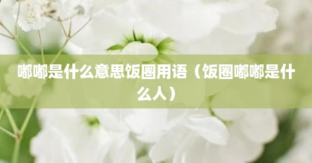 嘟嘟是什么意思饭圈用语（饭圈嘟嘟是什么人）