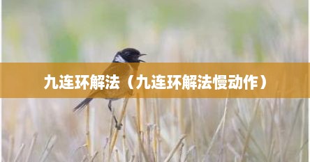九连环解法（九连环解法慢动作）