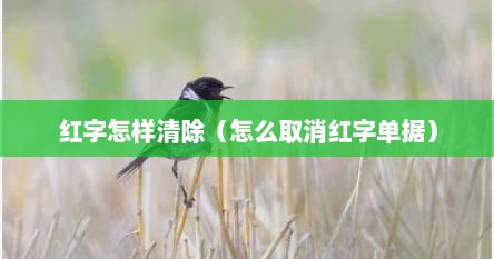 红字怎样清除（怎么取消红字单据）