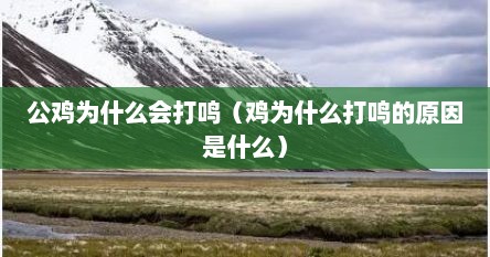 公鸡为什么会打鸣（鸡为什么打鸣的原因是什么）