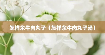 怎样汆牛肉丸子（怎样汆牛肉丸子汤）