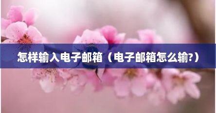 怎样输入电子邮箱（电子邮箱怎么输?）