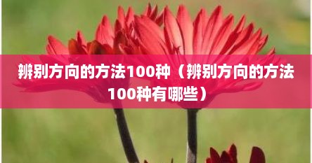 辨别方向的方法100种（辨别方向的方法100种有哪些）