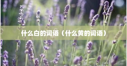 什么白的词语（什么黄的词语）