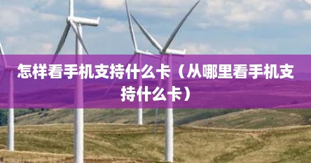 怎样看手机支持什么卡（从哪里看手机支持什么卡）