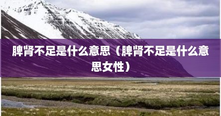 脾肾不足是什么意思（脾肾不足是什么意思女性）