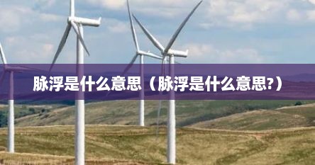 脉浮是什么意思（脉浮是什么意思?）