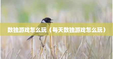 数独游戏怎么玩（每天数独游戏怎么玩）