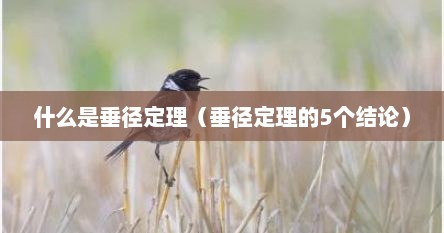 什么是垂径定理（垂径定理的5个结论）