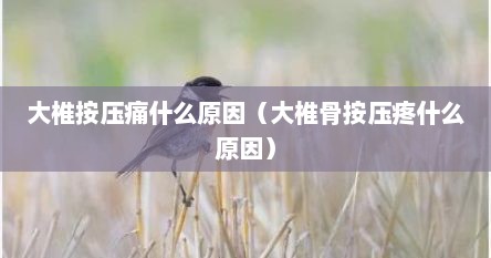 大椎按压痛什么原因（大椎骨按压疼什么原因）
