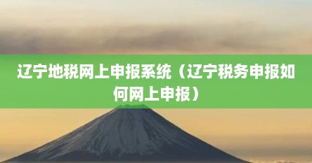 辽宁地税网上申报系统（辽宁税务申报茹何网上申报）