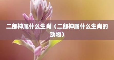 二郎神属什么生肖（二郎神属什么生肖的动物）