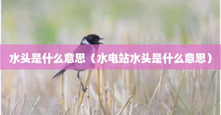 水头是什么意思（水电站水头是什么意思）